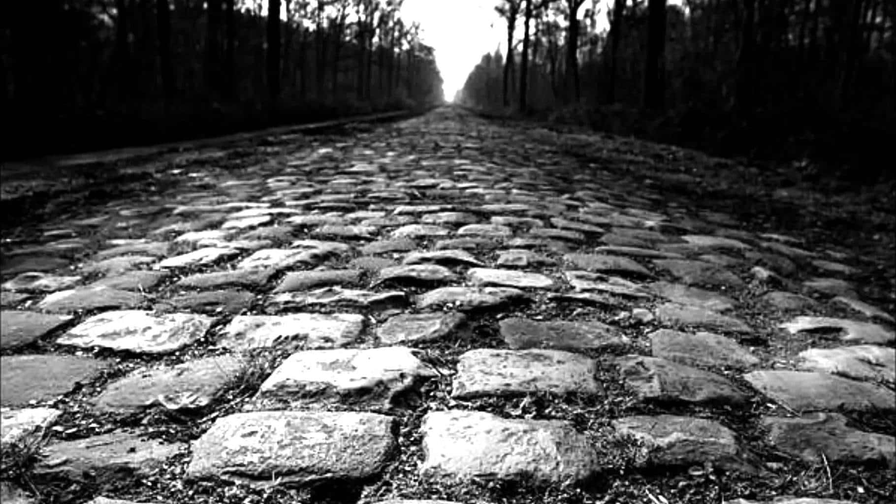 Paříž-Roubaix kostky