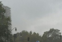 Orica GreenEDGE v desti na Grand Prix Cycliste de Montreal
